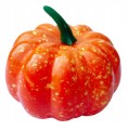 5x Dynia plastikowa dekoracyjna pomarańczowa 8 cm sztuczna