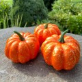 5x Dynia plastikowa dekoracyjna pomarańczowa 8 cm sztuczna