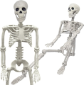 Szkielet człowieka sztuczny kościotrup dekoracja na Halloween wiszący 90 cm