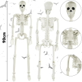 Szkielet człowieka sztuczny kościotrup dekoracja na Halloween wiszący 90 cm