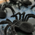 Sztuczne Pająki Dekoracja Halloween  Zestaw 6 sztuk 7 cm