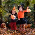 36x Sztuczne Pająki Pająk Halloween Dekoracje Ozdoby 4cm 