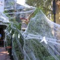 Sztuczna Pajęczyna Sieć Halloween Dekoracja + 10 Pająków XL 300g